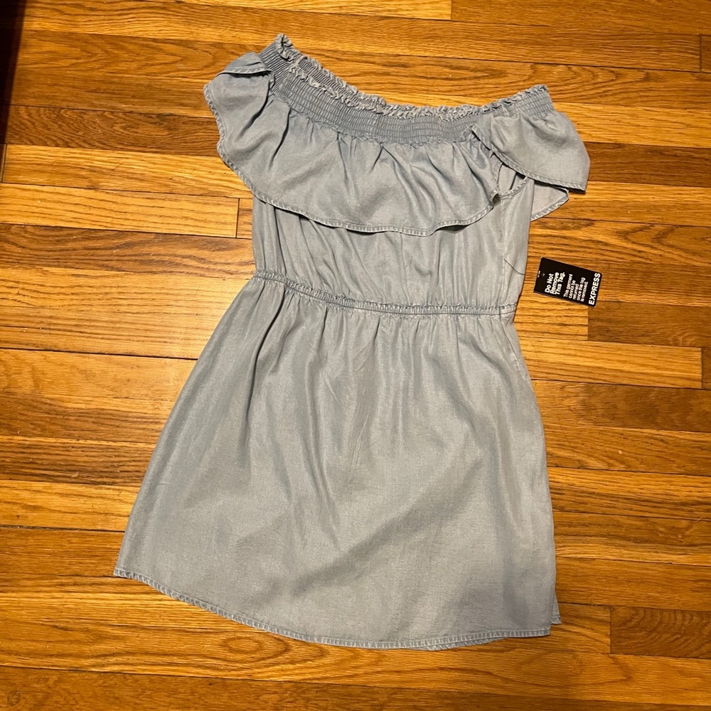 Express Denim Dress